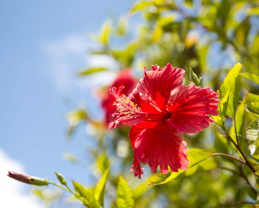 愛知県岡崎市と知立市の西三河 地域No.1キックボクシングジムMEIBUKAI｜日本総合空手道命武會