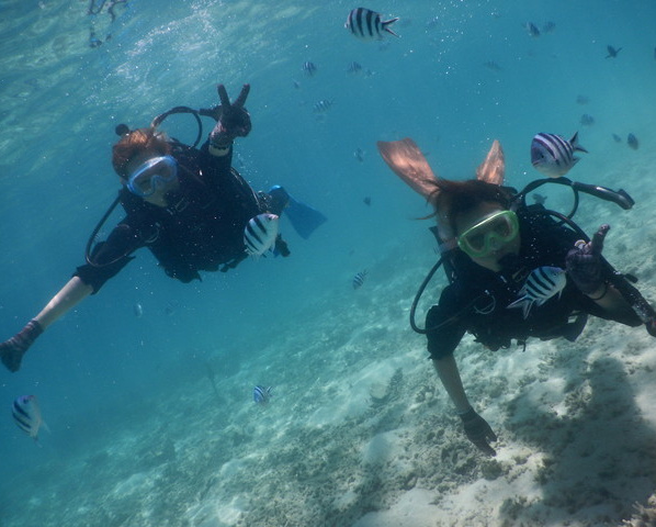 愛知県岡崎市と知立市の西三河 地域No.1キックボクシングジムMEIBUKAI｜日本総合空手道命武會